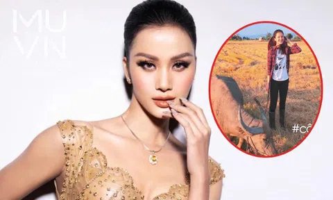 Nhan sắc 'cô gái chăn trâu' được kỳ vọng đăng quang 'Hoa hậu Hoàn vũ Việt Nam'